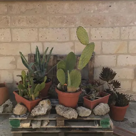 Antica Dimora Dei Nonni