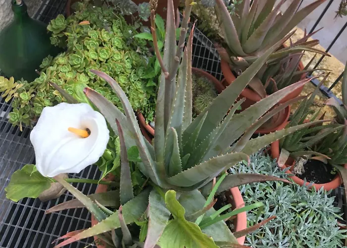 Bed & Breakfast Antica Dimora Dei Nonni